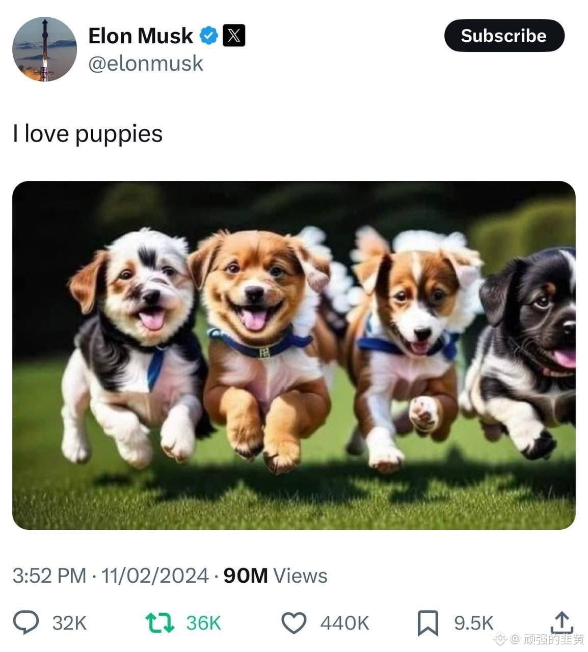 马斯克 Puppies 推文